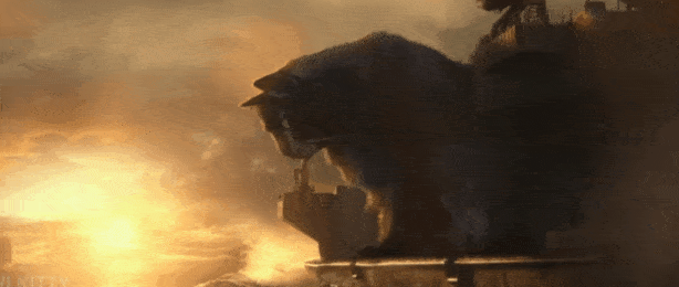 巨猫大战哥斯拉电影图片
