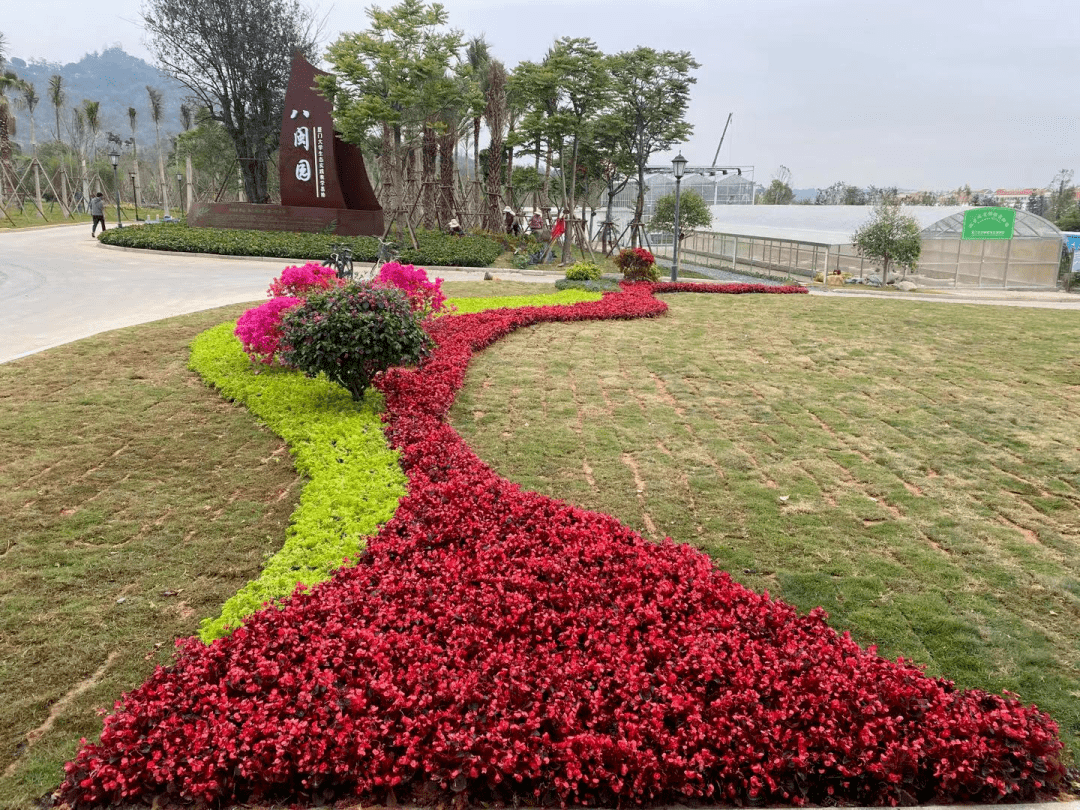 厦大百年华诞,厦门市市政园林局送上花式生日祝福