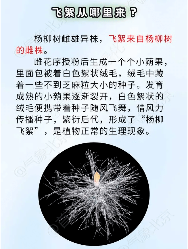 这些地方又要下雪了具体时间公布