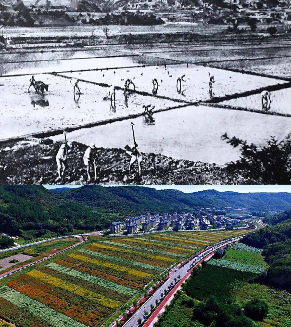 党史故事丨昔日"烂泥湾"如何变成"陕北好江南"?_延安