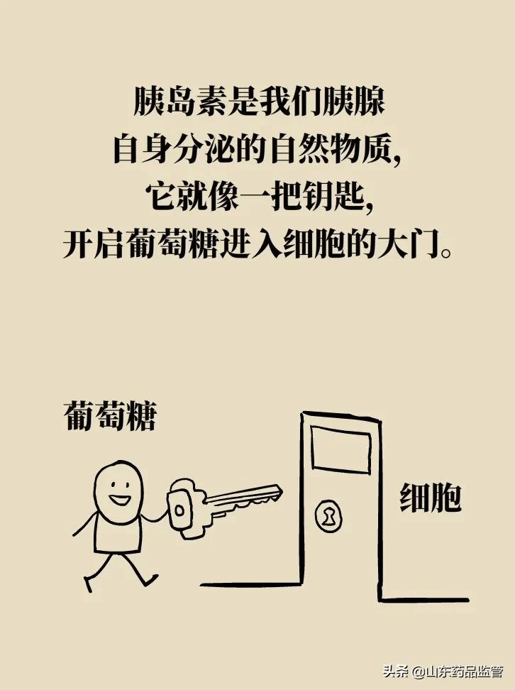 科普漫画胰岛素比口服降糖药副作用大这篇解释得太走心了