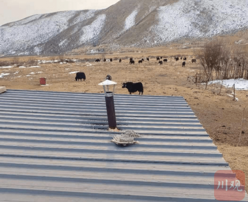 阿坝这个县给烟囱戴上"帽子" 这是什么森林防火妙招?