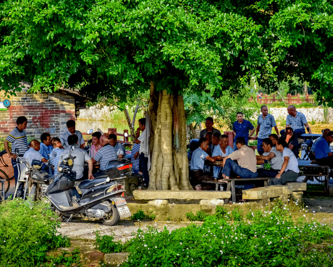 mad发布珠海银坑艺术中心方案穹顶下的村庄