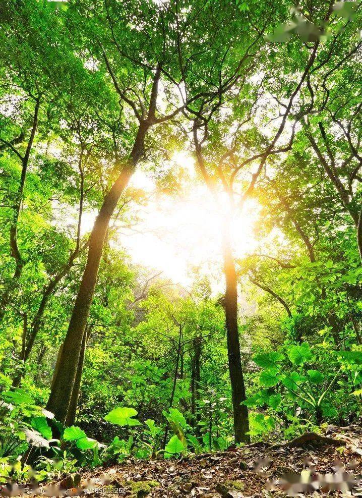 冷空气把控力减小,阳光充足,气温上升_地区