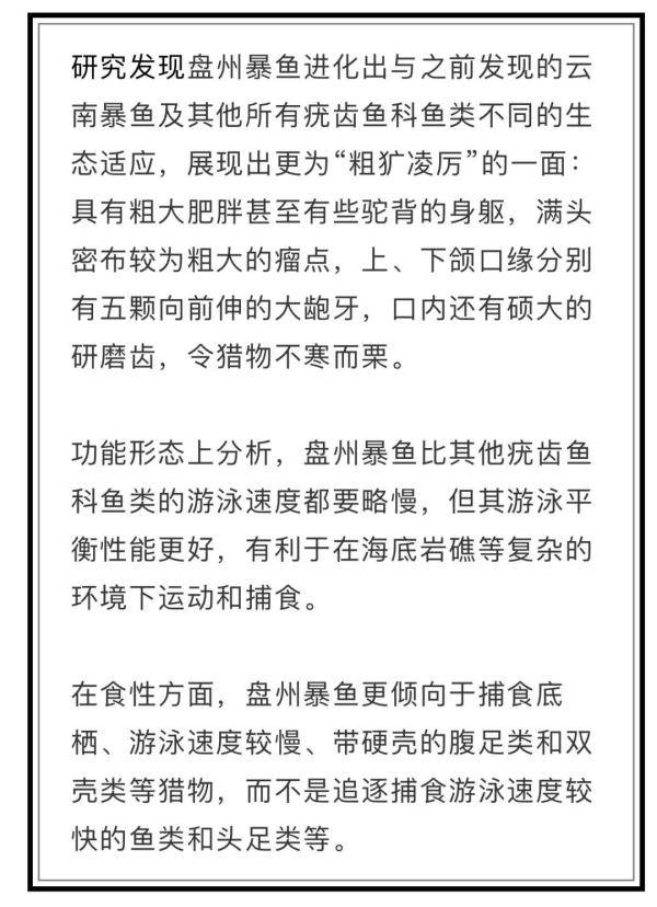 国际|“2亿年前的鱼”上热搜！但很多人都想着一件事…