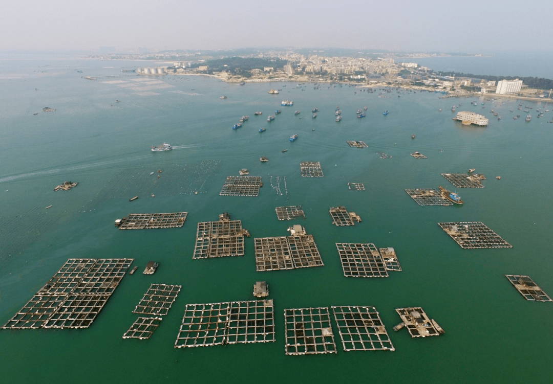 7000多亩的海上鲍鱼养殖基地