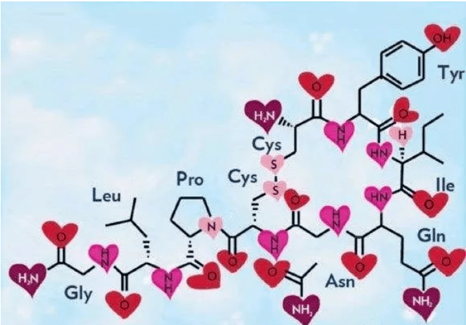 【催产素】催产素的作用_催产素的副作用