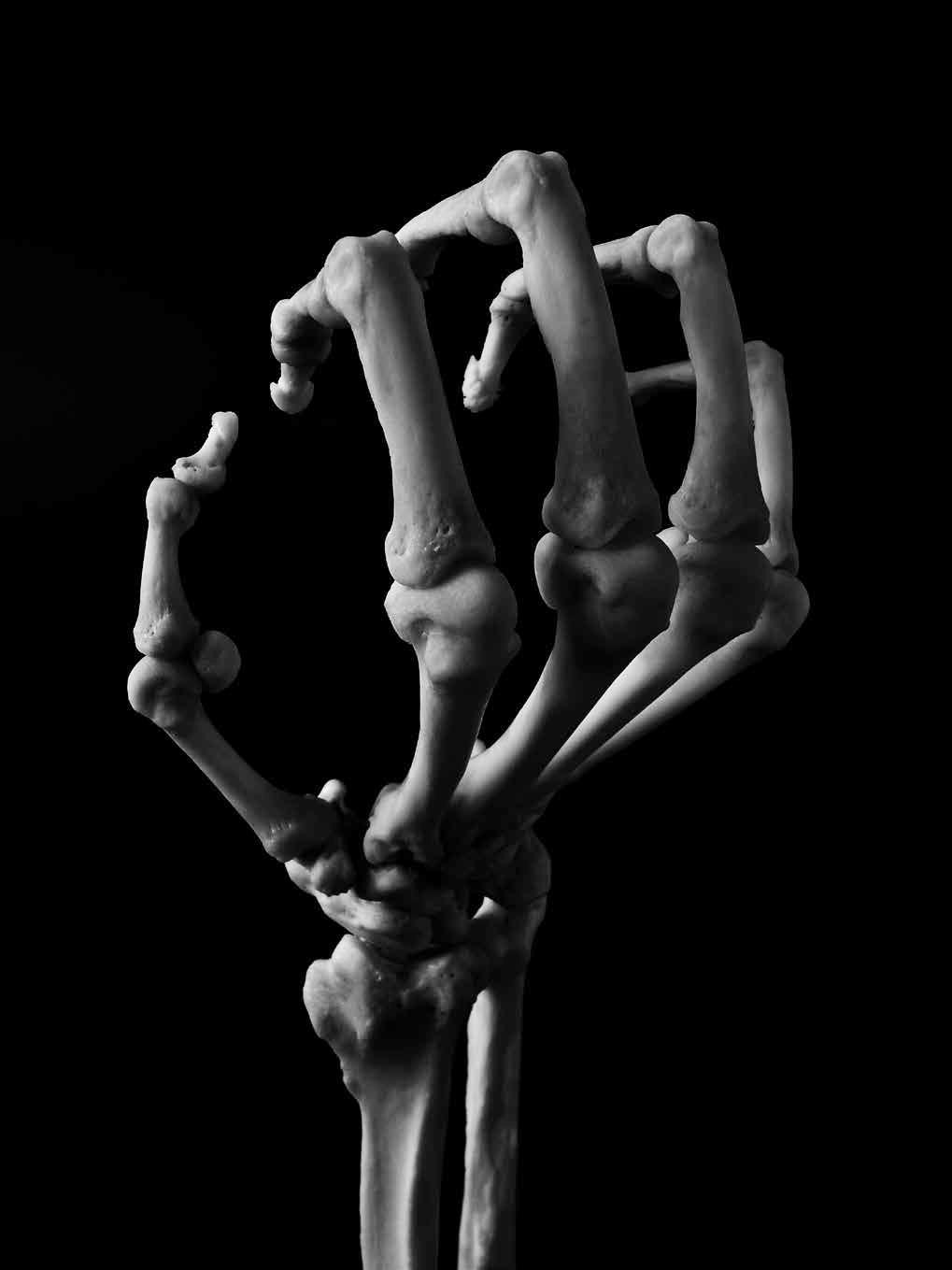 分享会丨骨骼之美是刹那间的永恒与无常 汤泽英