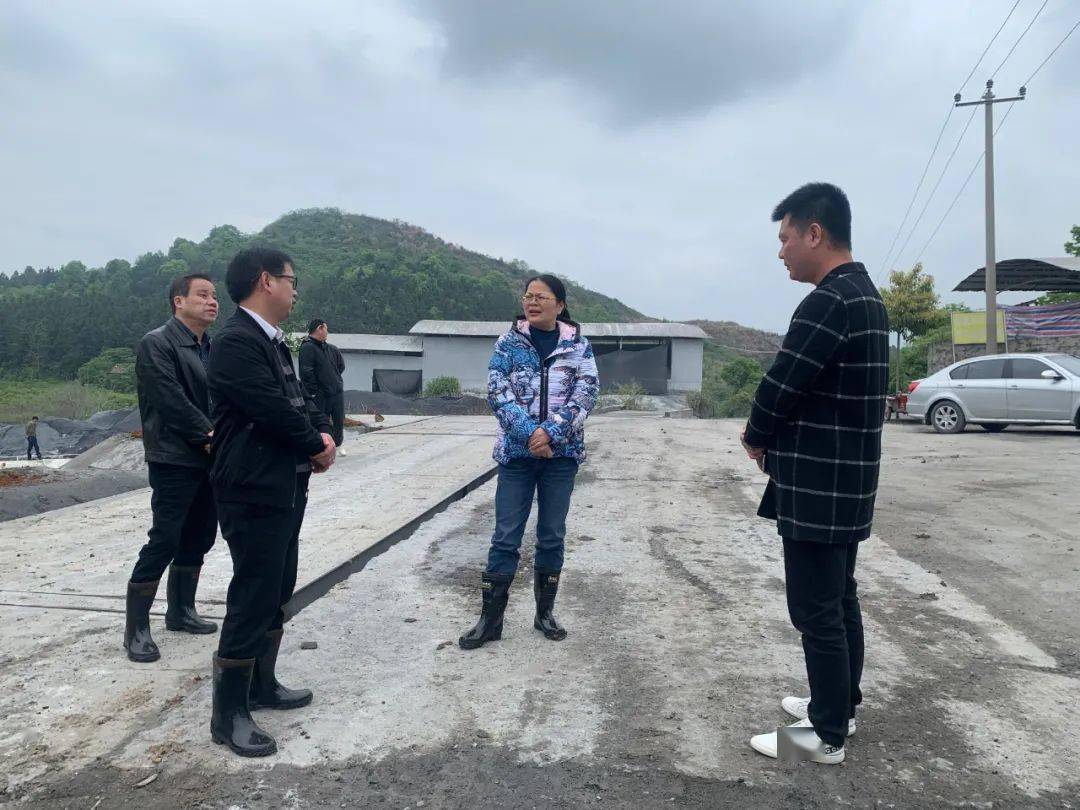 渝水区委书记李虹深入现场调研督导非煤矿山专项整治工作