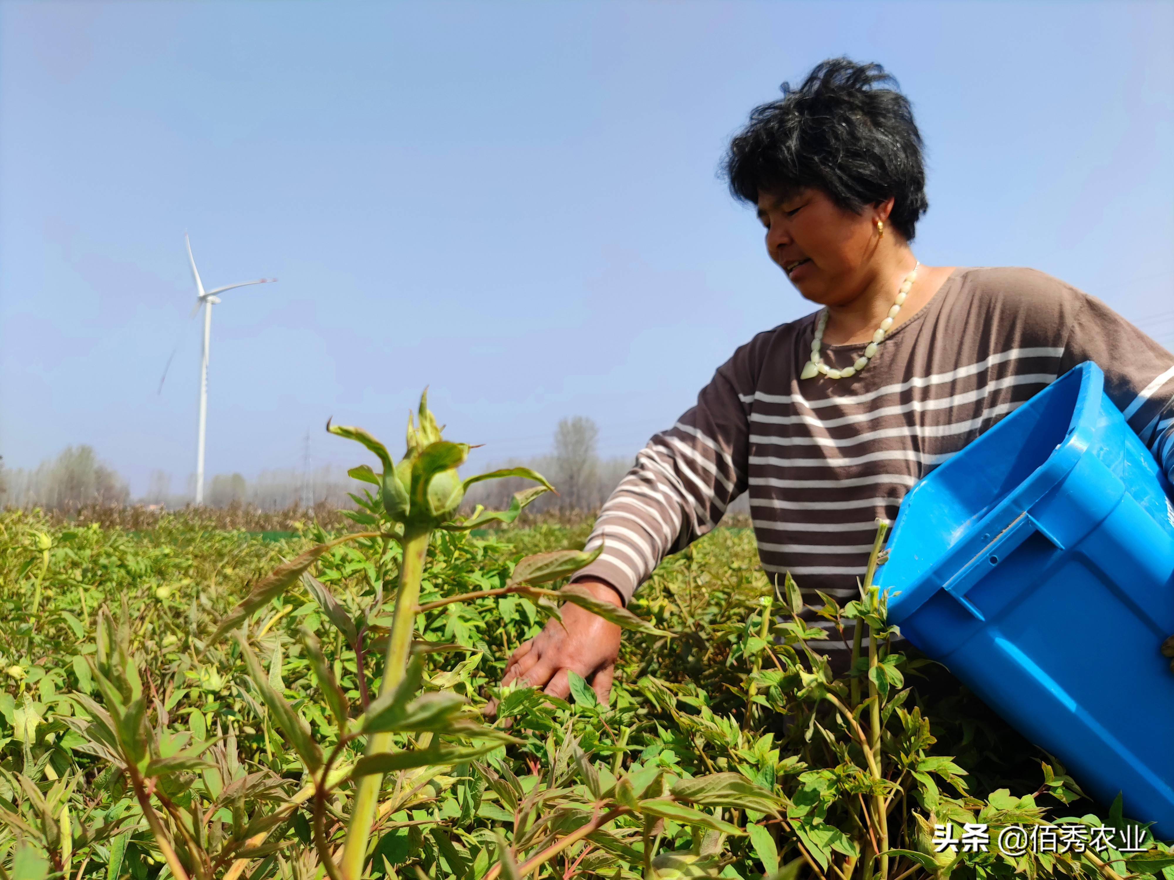 二是另有所圖,在家裡,小唐排行老二,姐姐嫁到了100多公里之外的河南省