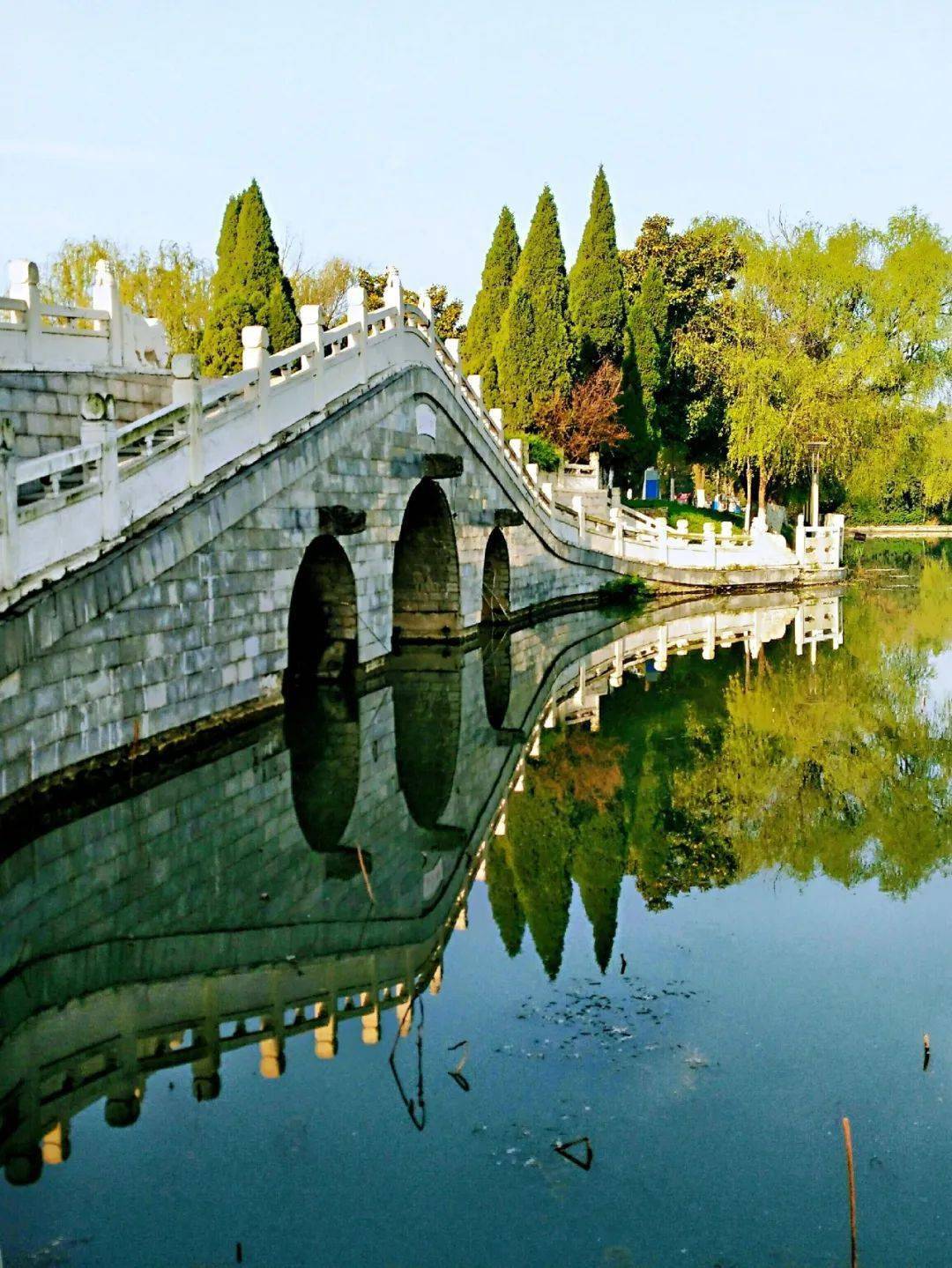 淮南很靓 | 第184波镜看淮南,最美风景随手拍摄影作品展