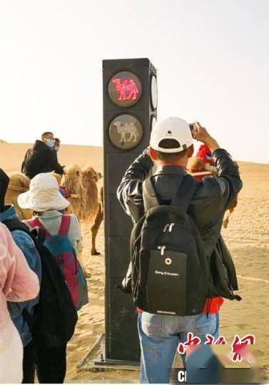 鸣沙山月牙泉景区启用“驼形红绿灯”：创意分流游人与驼队