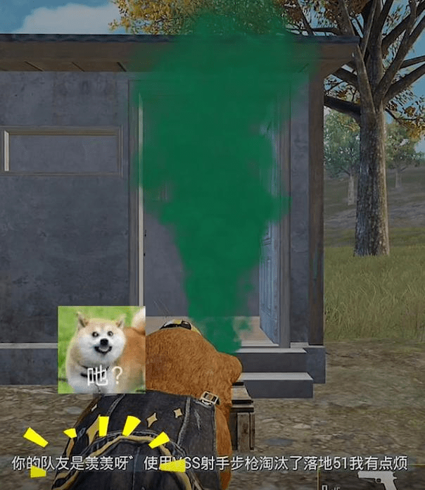 33eb9a03c49149c29574376099bb2028.png