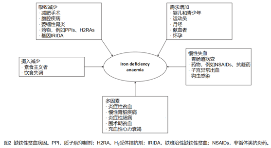 醉译献缺铁和贫血对女性患者健康的影响