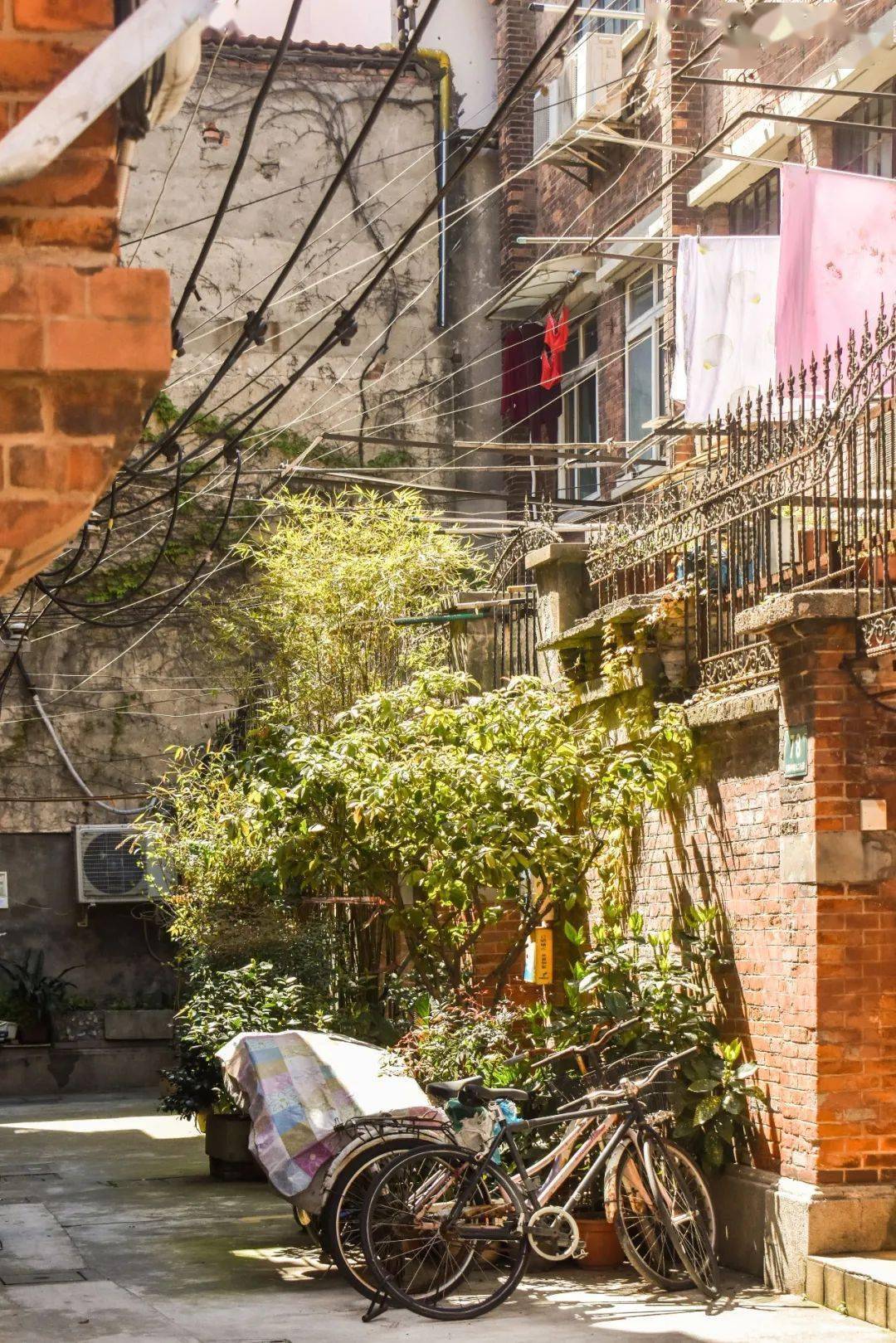 十年了,你还记得卢湾区吗?_黄浦