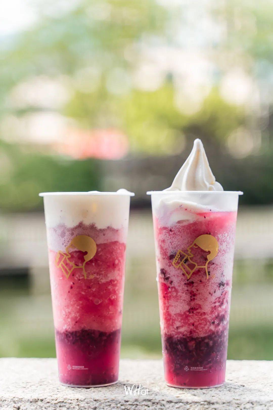 喜茶多肉杨梅回归早早梅带我奔跑入夏