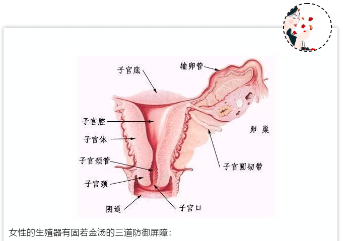 勿因妇科 小痛痒 忽视女性生殖健康 输卵管