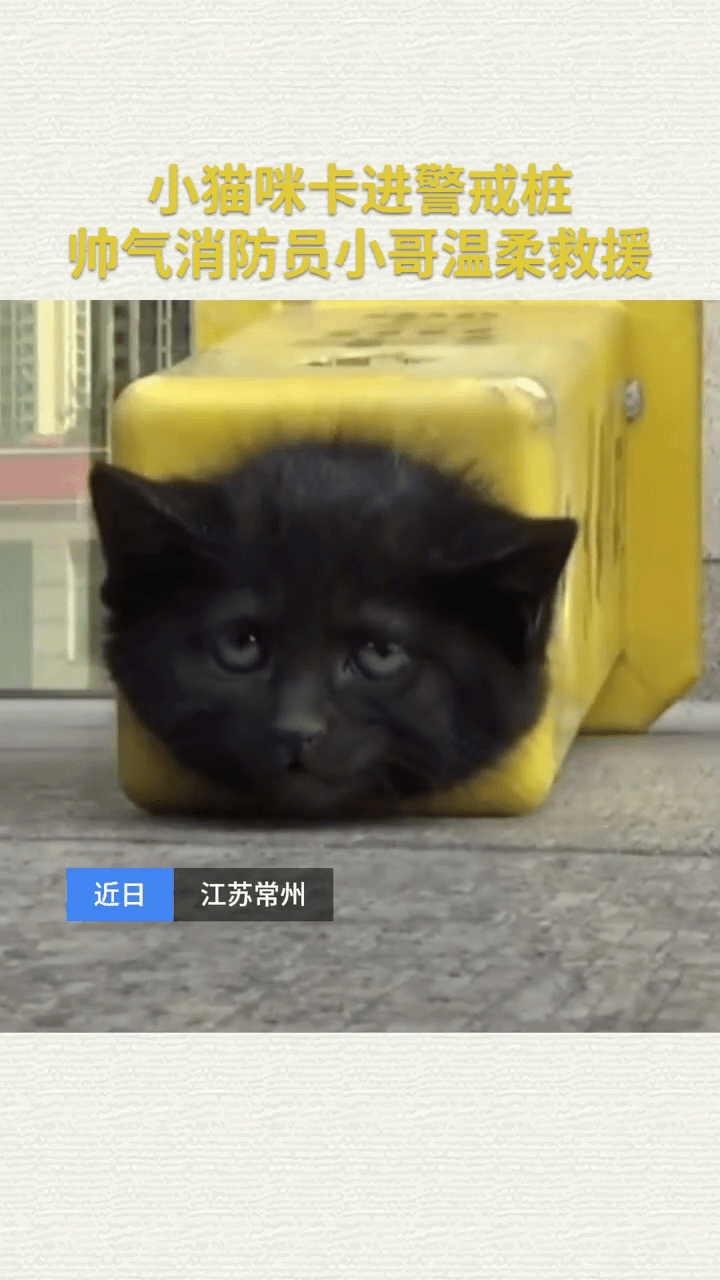 e9228899d804446d8f66fbb8974f5cc8.png