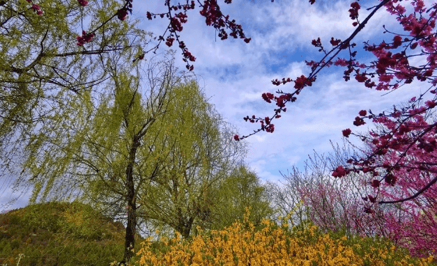 图：四月的清水，烟柳画桥，风帘翠幕