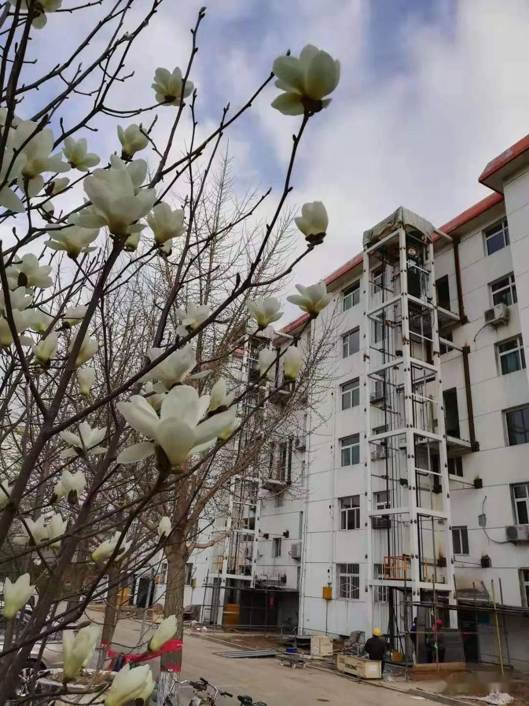 悦读忻州:诗里诗外情正浓品读忻州:怎一个"宜"字了得忻州古城:好一幅