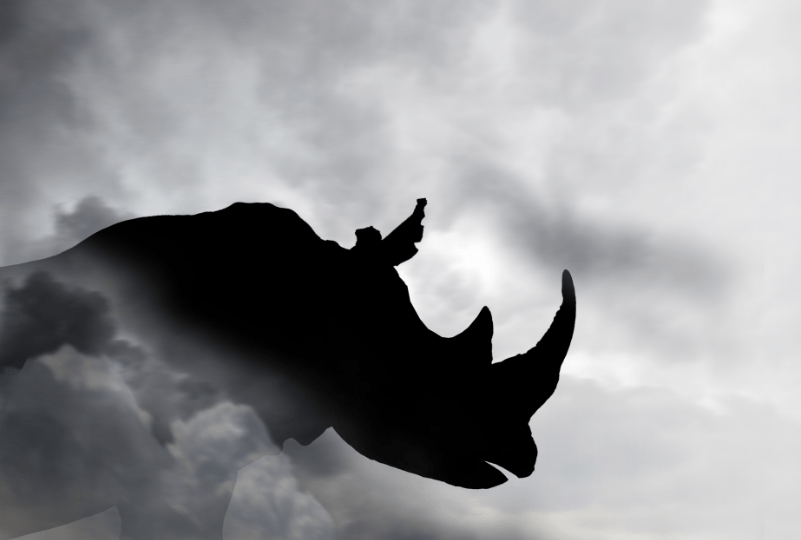 乐鑫科技净利下滑逾30%基金减持 提升毛利率