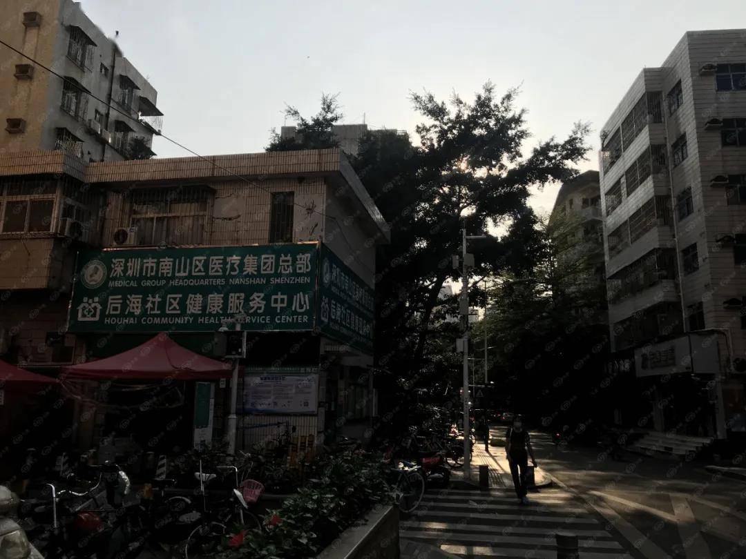 深圳后海最高住宅要来了!旧改后价格会否飙涨?_后海村