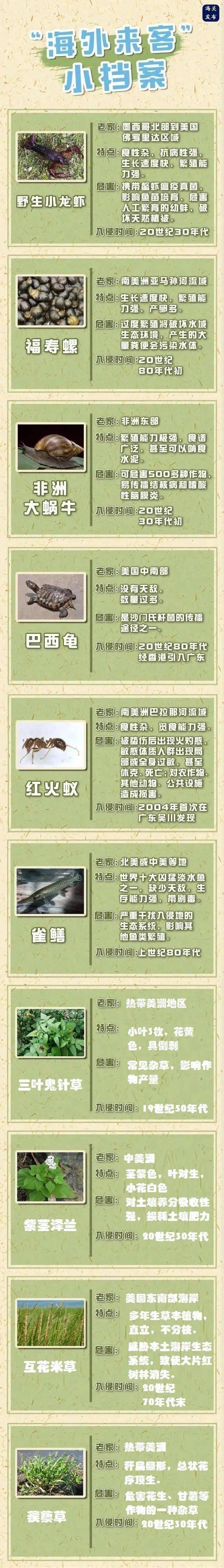 国门生物安全内容图片