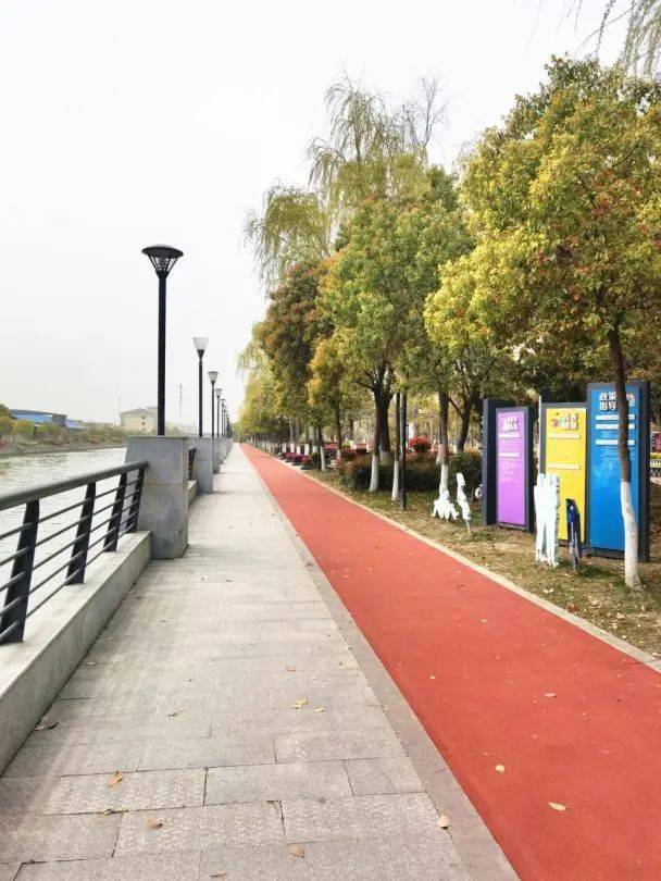 【探索】4000平方米草坪!松江新增一处滨水健身步道