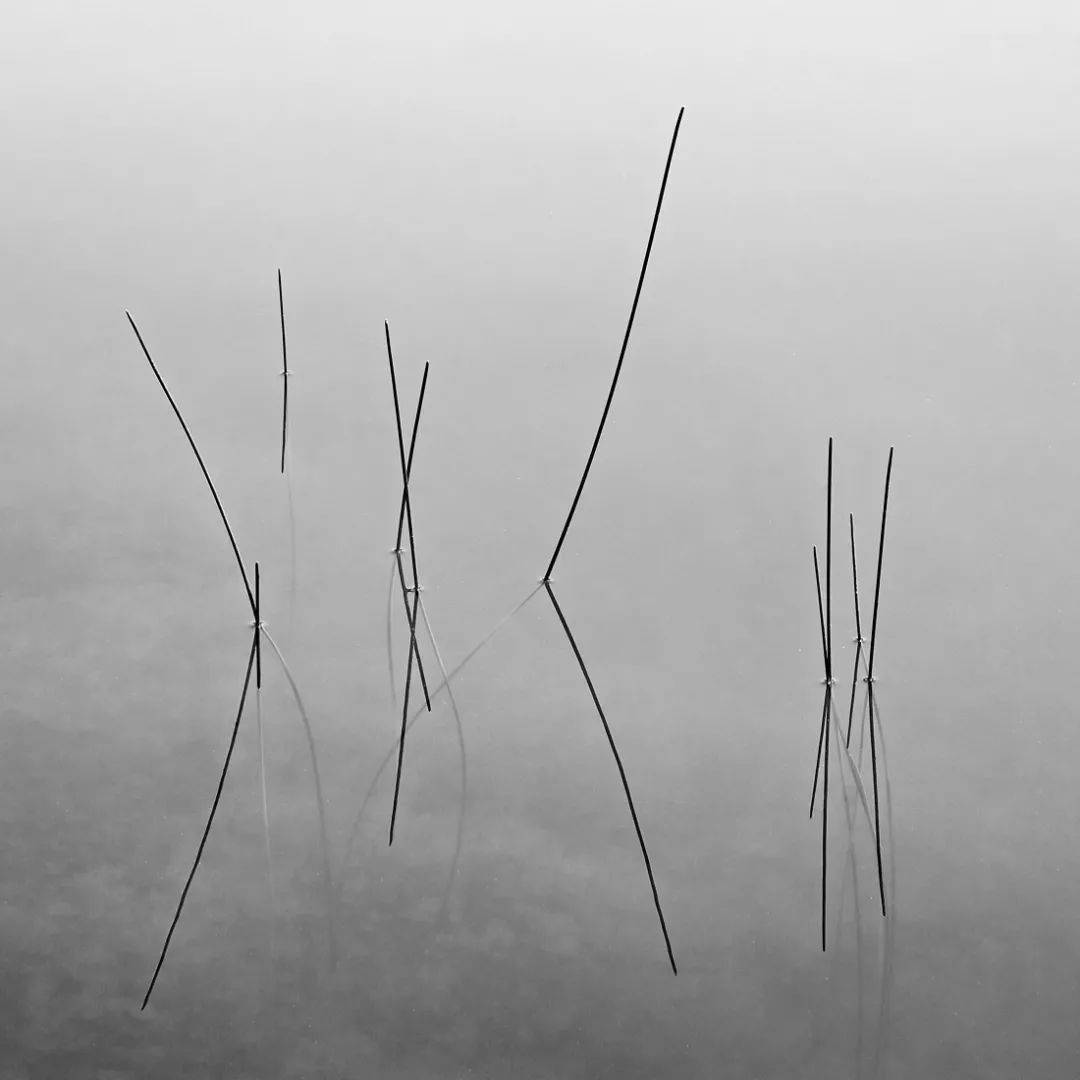 在线影展静谧的孤独黑白极简主义摄影奖作品