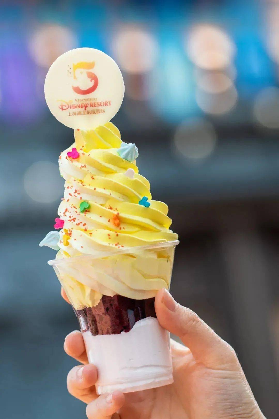 会玩迪士尼五周年在逃公主王子们该回家过生日啦