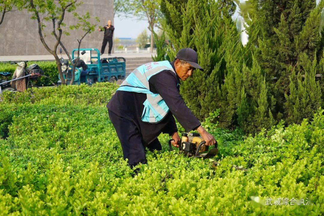 春季园林绿化养护美篇图片