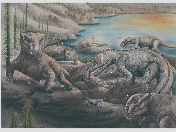 化石|远古发现|新华全媒+|2.52亿年前的大灭绝，地球用了1000多万年才“活”过来