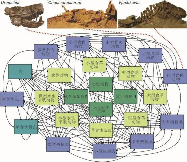 生物|2.52亿年前的大灭绝，地球用了1000多万年才“活”过来