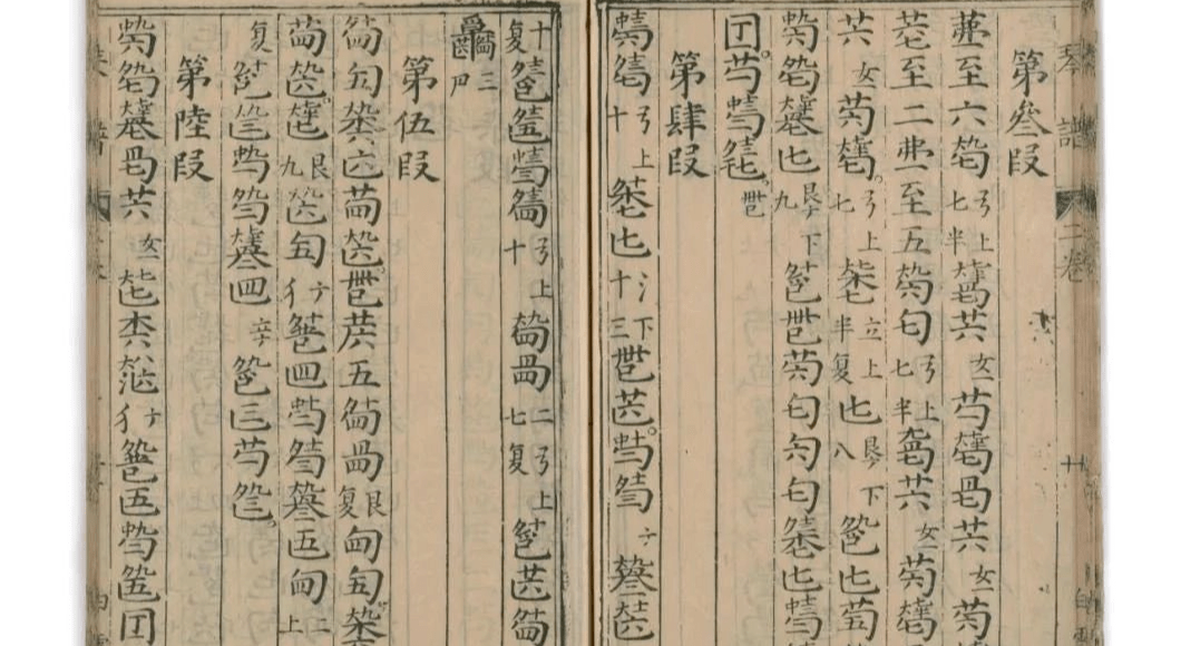 张琴简谱_张琴演员