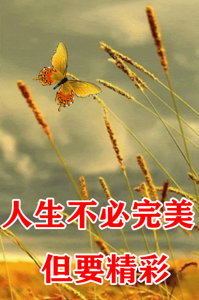 680_1024竖版 竖屏gif 动态图 动图