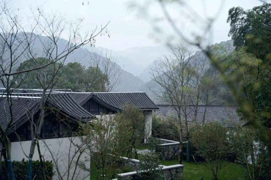 郑南雁终于拿下了开元酒店