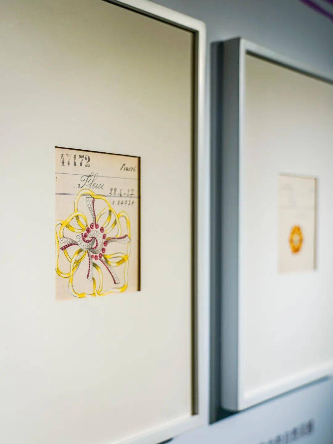 ����ű�����֮��԰���ս�����Frivoleϵ�������ݻ�������