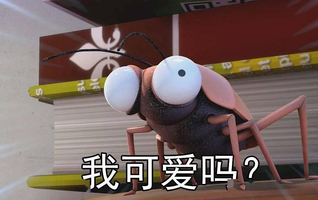交配一次,终身产卵……_蟑螂