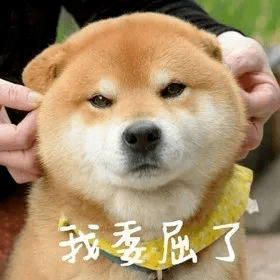 来源于知乎网友:贱贱我可能得罪了一吨考研的人,你们别急着撕我.