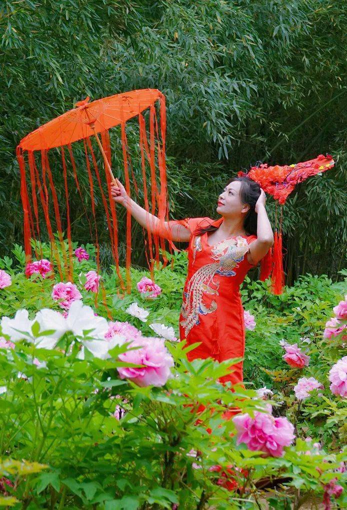 人像摄影牡丹花冠