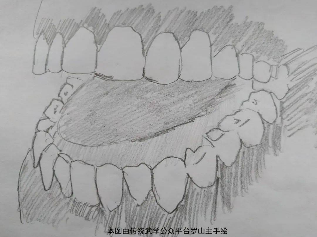解密古人不刷牙却到老还牙齿坚固千金不换的功法