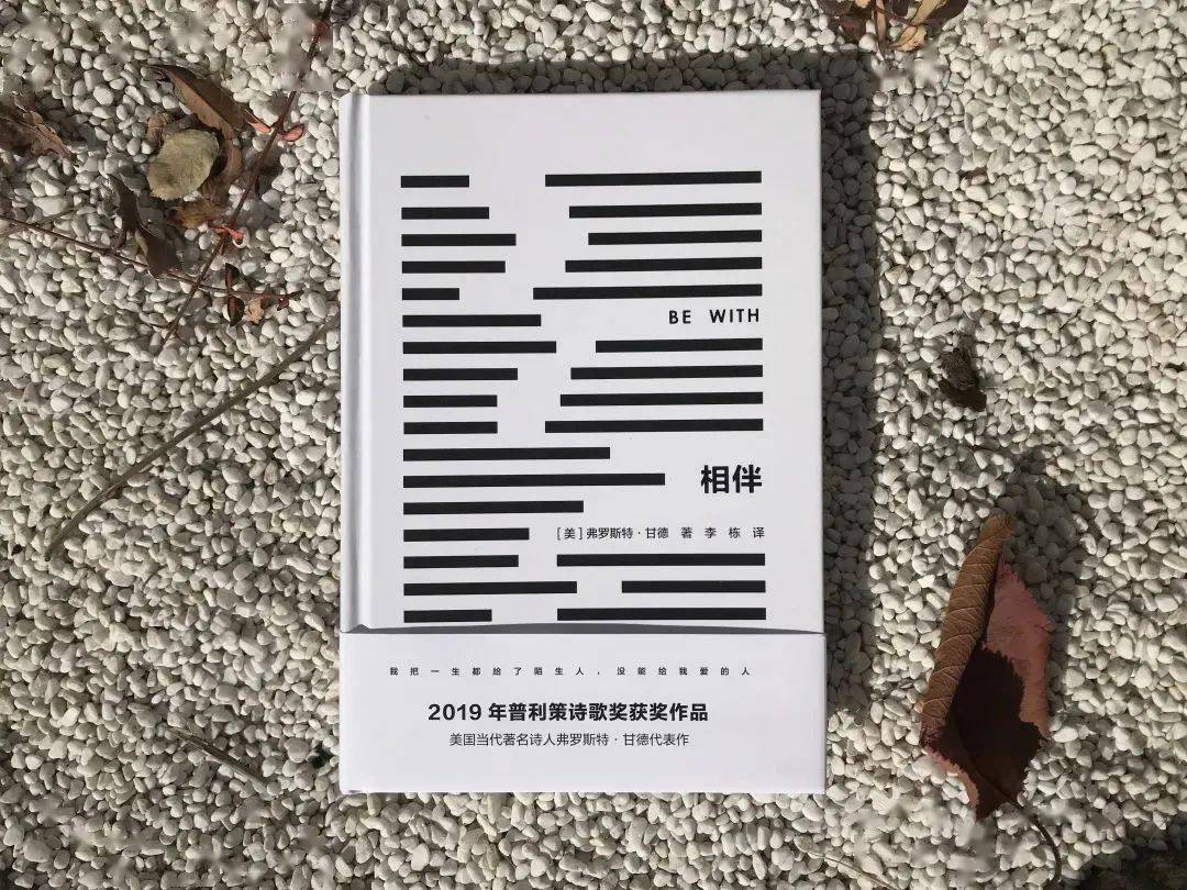我没能把一生给我所爱的人:普利策奖诗人甘德直播对谈