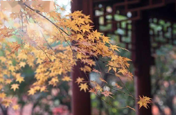 一日禅 你只负责好好做人 上天自有安排 喧嚣