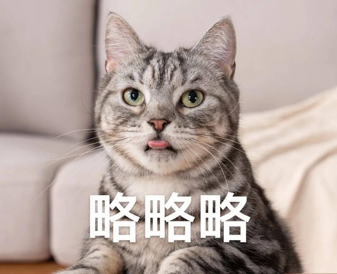 公司最高冷的猫,居然搞骨科?