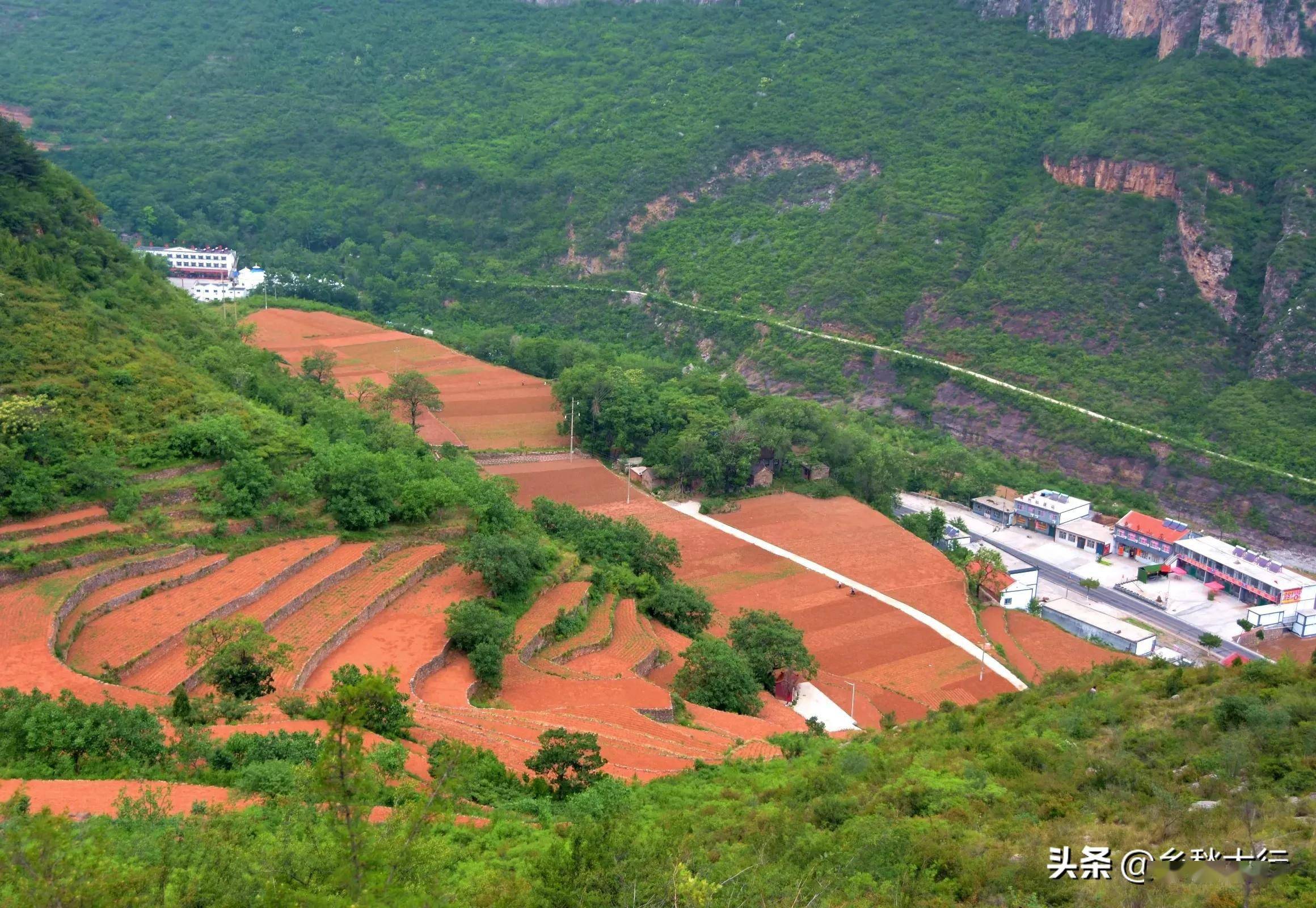 太行春天之乡村梯田(一)_林州市