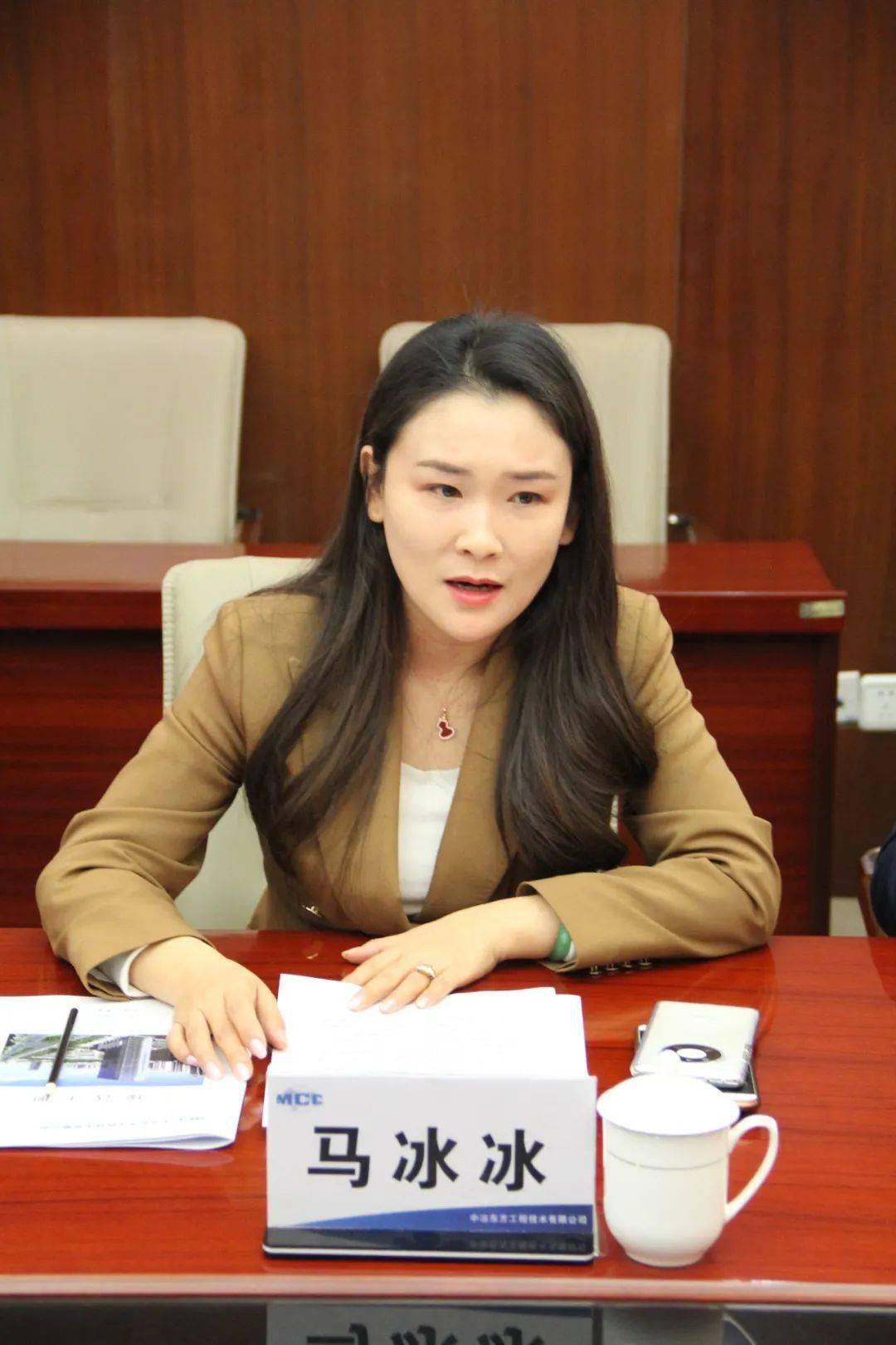 承担主要设备设计和供货任务,感谢武安市委市政府,金鼎钢铁集团,中冶