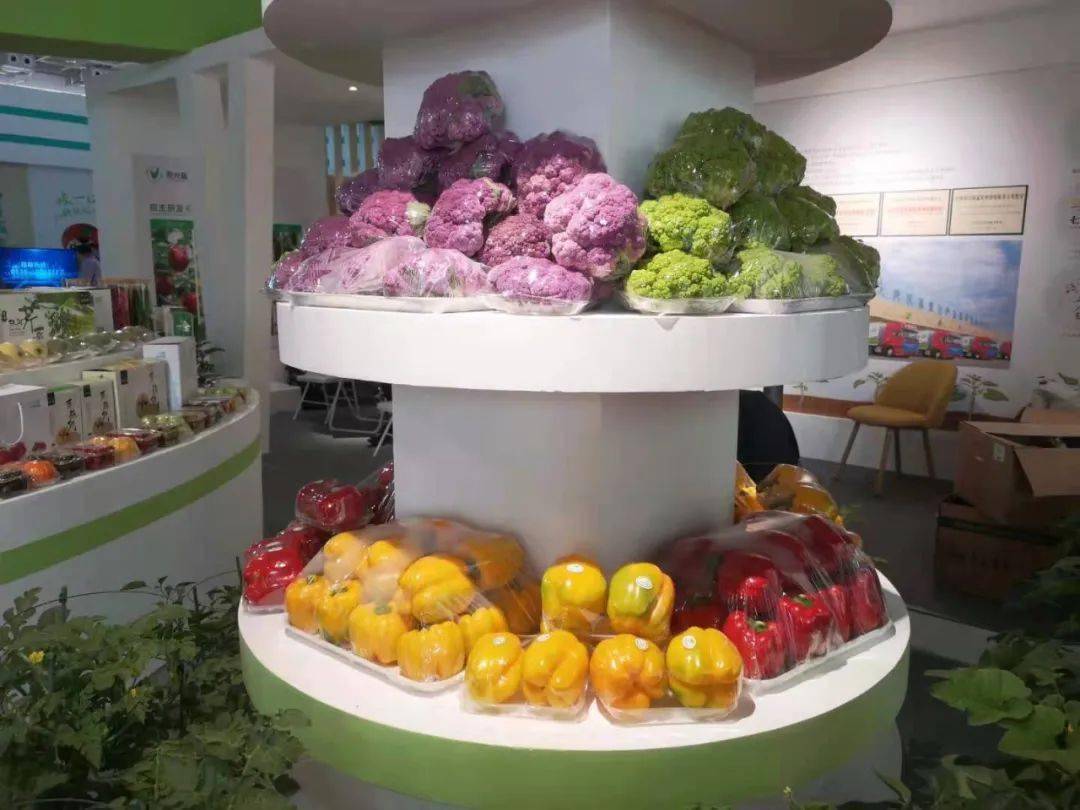 2021年蔬菜博览会图片图片