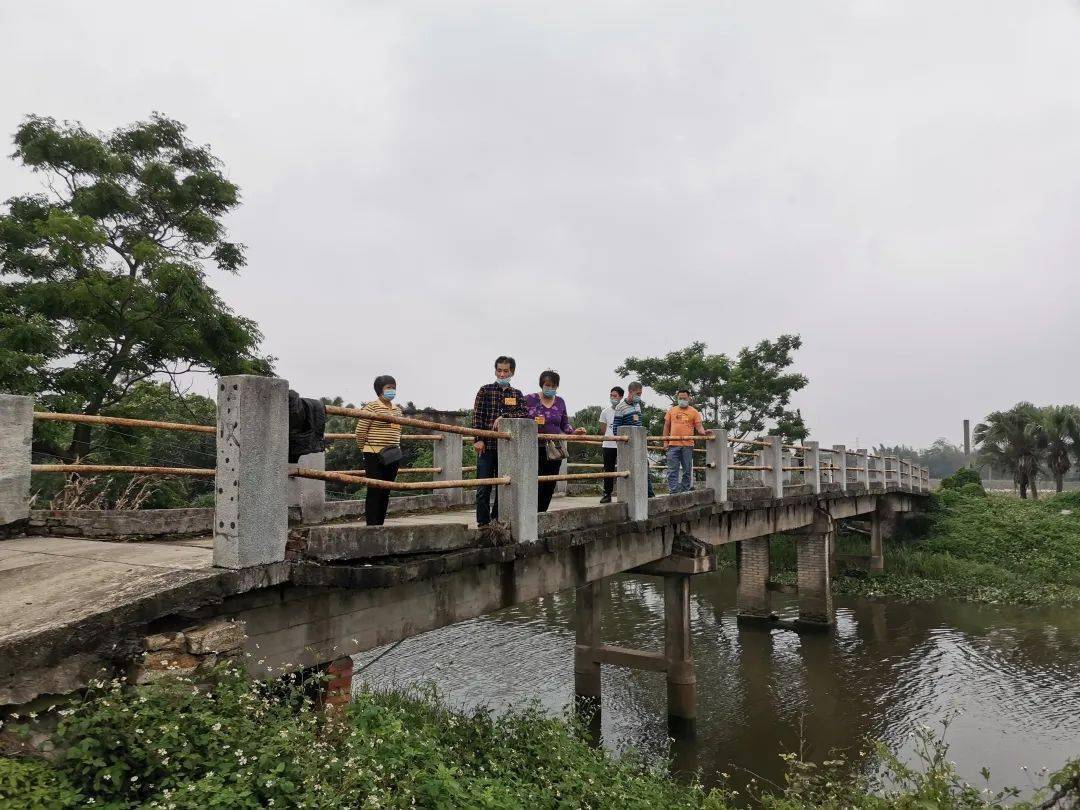 台山市水步镇人大以四个聚焦全力推动新一年工作
