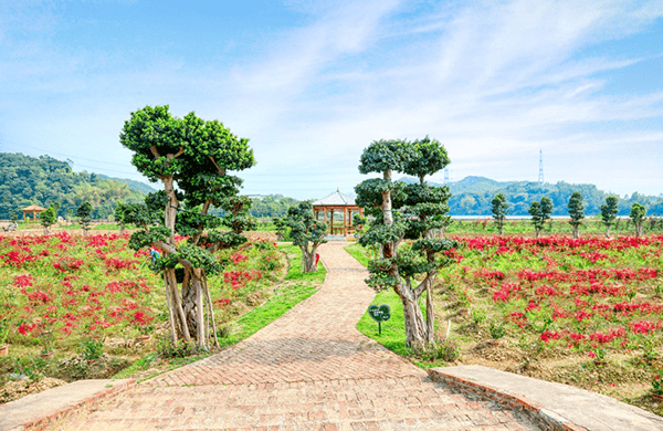 全国推介饶平生态休闲之旅等你来游