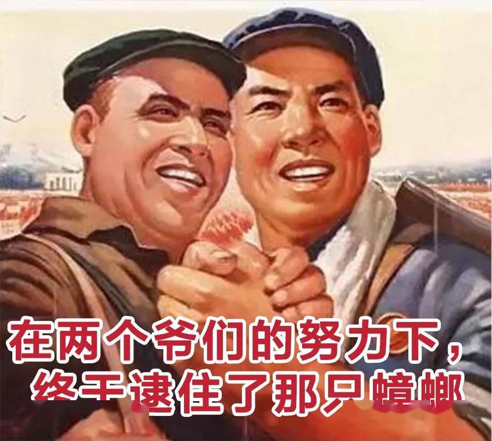 老婆跑了母亲替代 傻儿子老婆跑了母亲替代